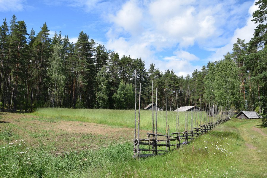 Liesjärven Kansallispuisto image