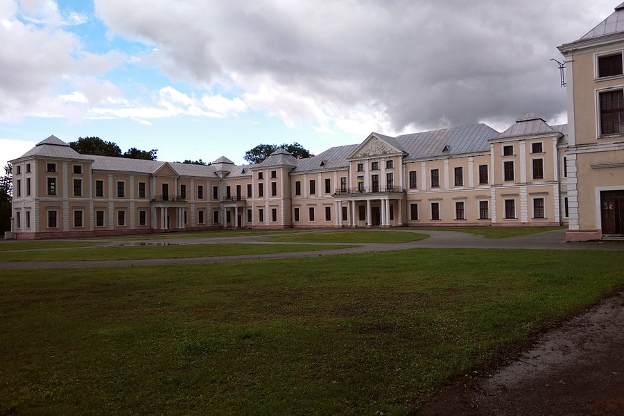 Vishnevetskikh Palace image