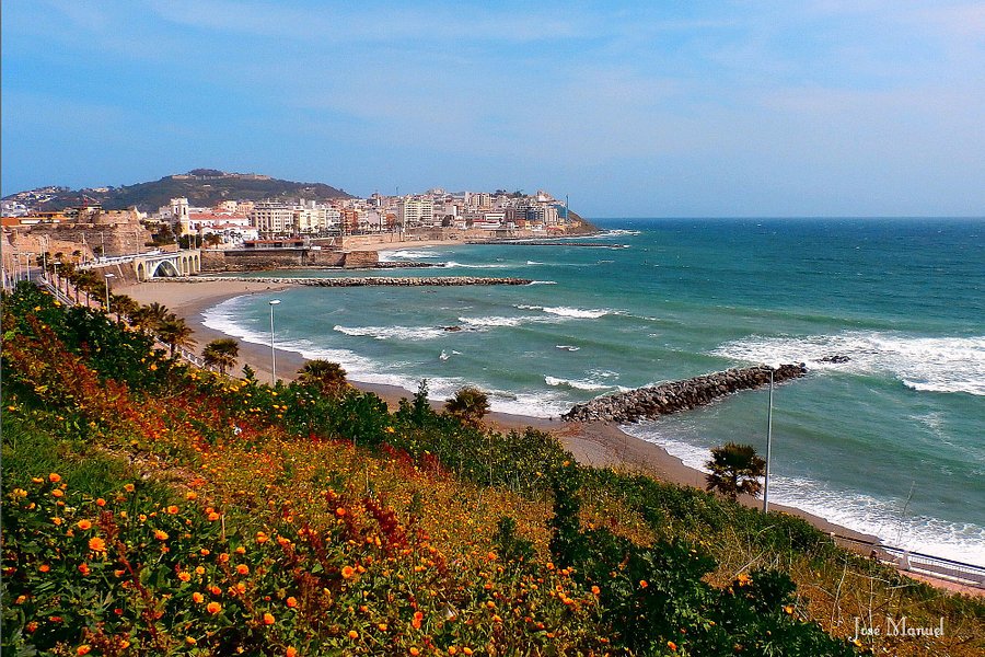 Playa del Chorrillo image