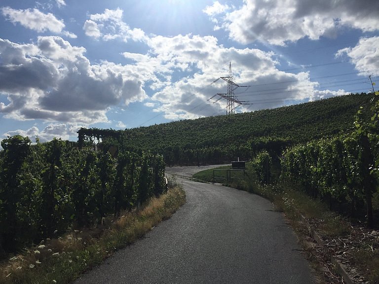 Weinlehrpfad - The educational Wine Path image