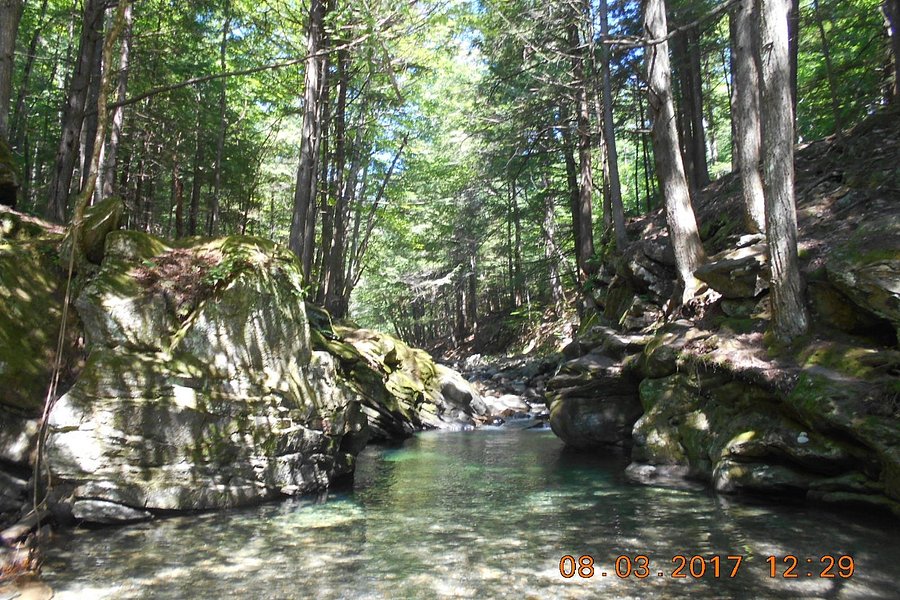 20 Foot Swimming Hole image