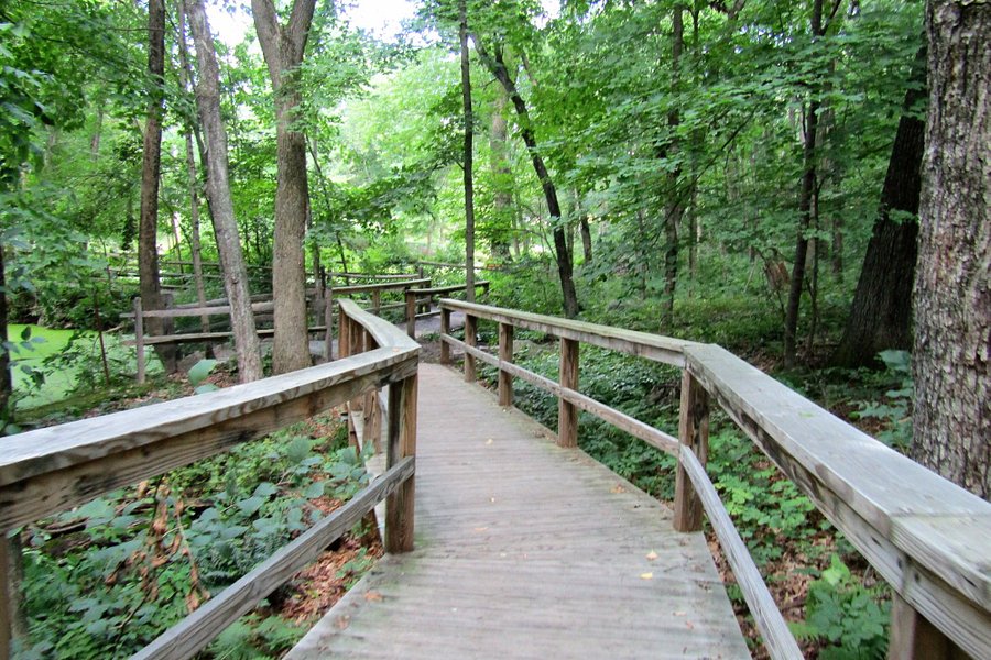 Acton Arboretum image