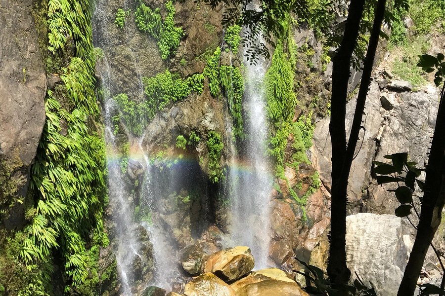 Parque Nacional Pico Bonito image