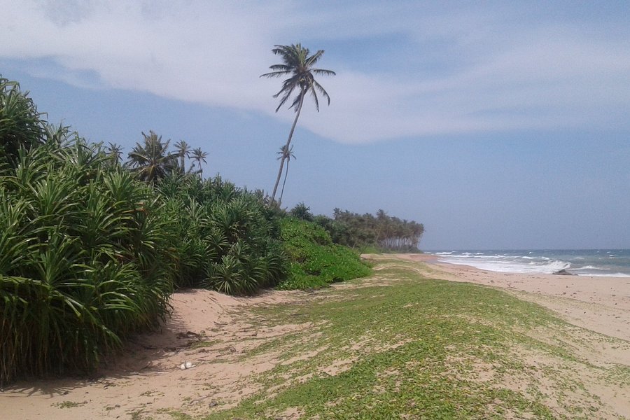 Kahandamodara Beach image