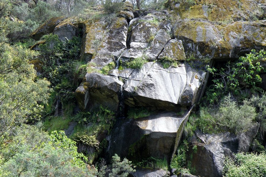 Mount Granya State Park image