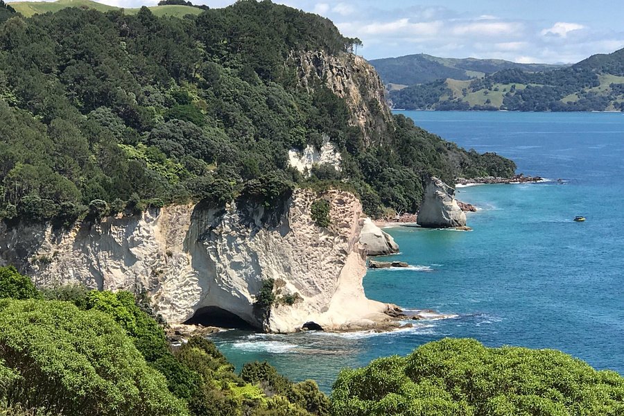 Cathedral Cove Walk image