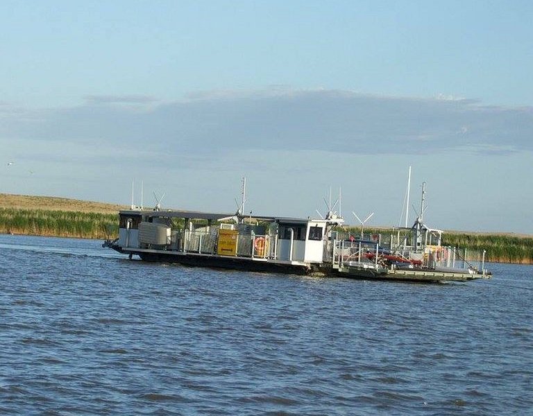 Narrung Ferry image
