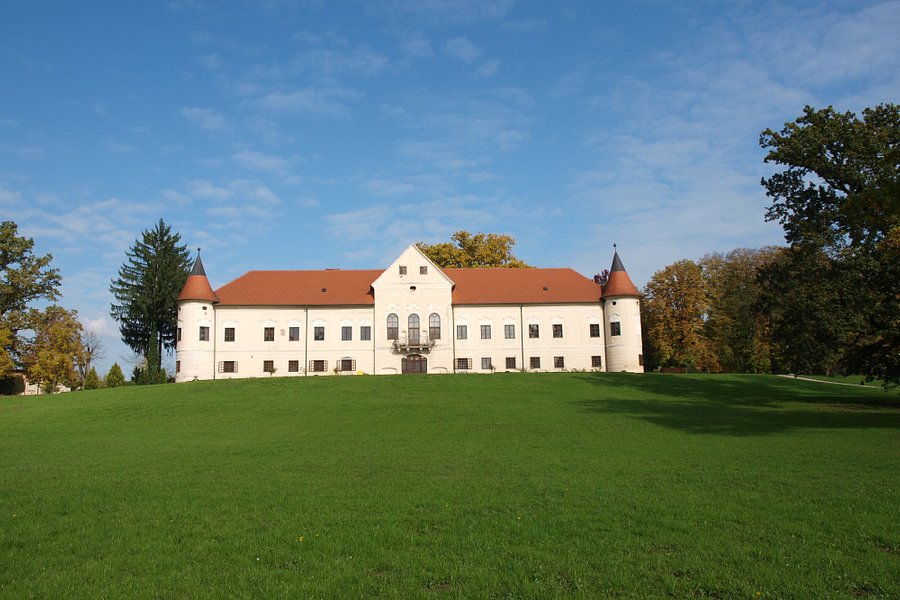 Luznica Manor image