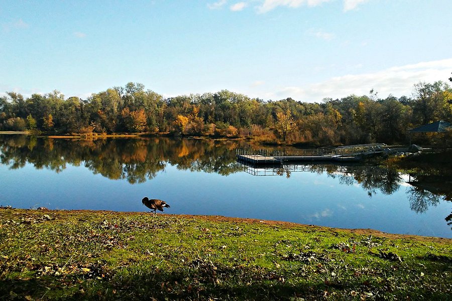 Anderson River Park image