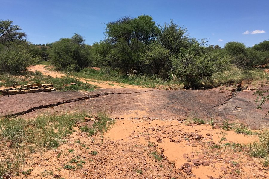 Dinosaur Tracks - National Monument NAMIBIA image