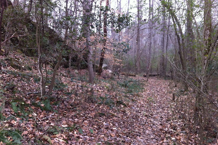 Bear Creek Trail System image