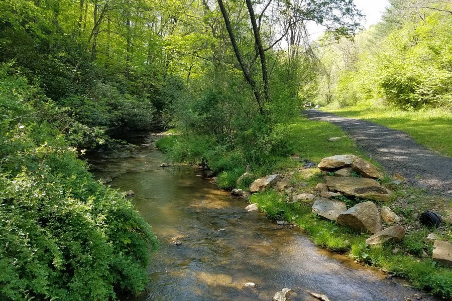 Beaver Dam Creek Walking Trail image