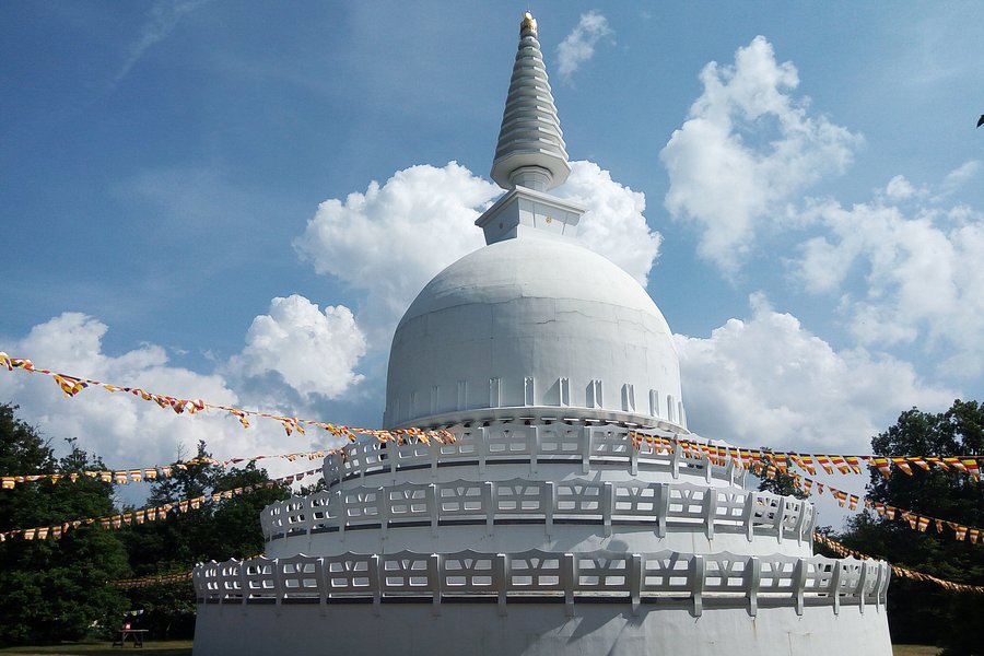 Peace Temple image