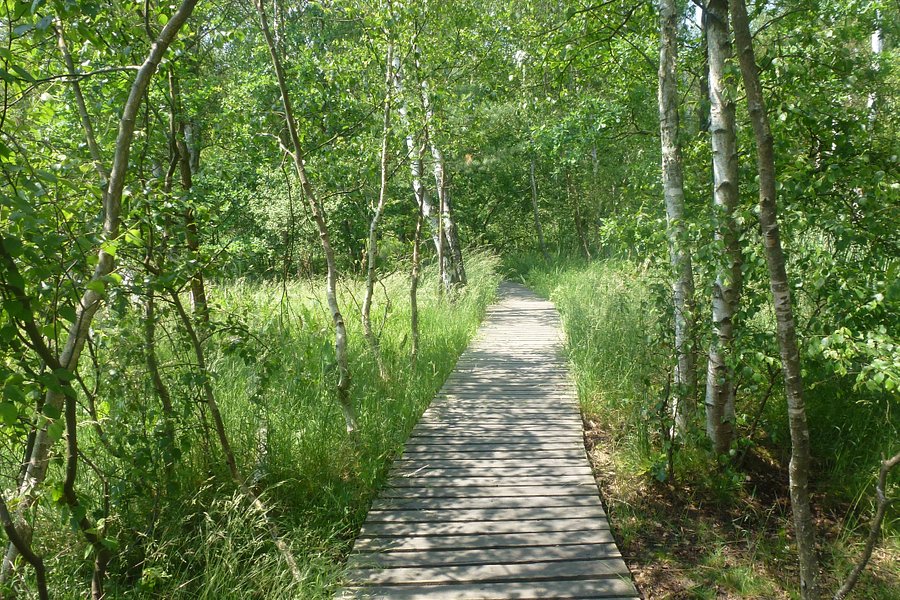 SOOS National Nature Reserve image
