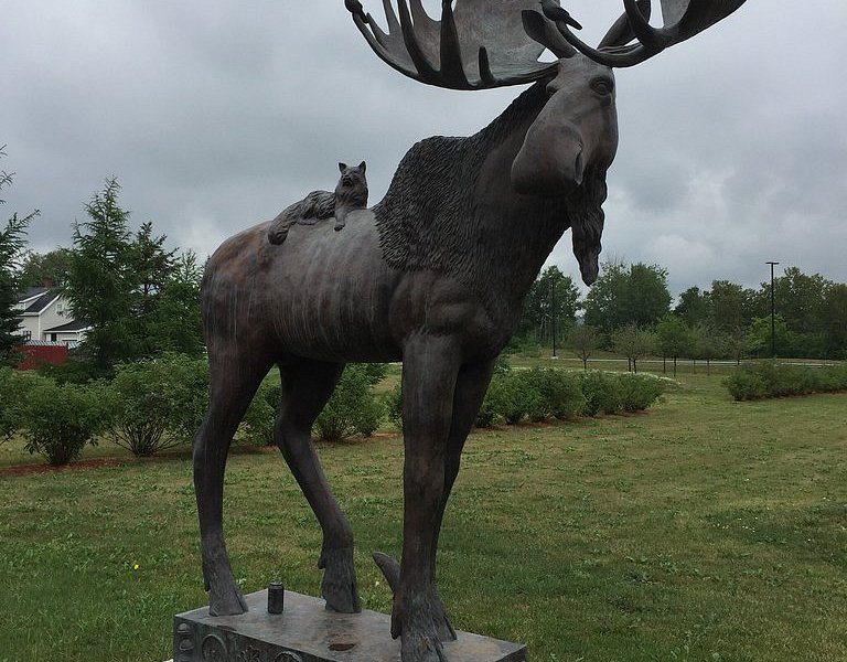 Maine Tribute Moose image