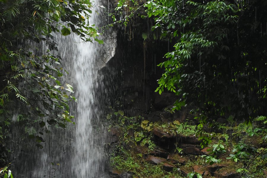 Dakdam Waterfall image