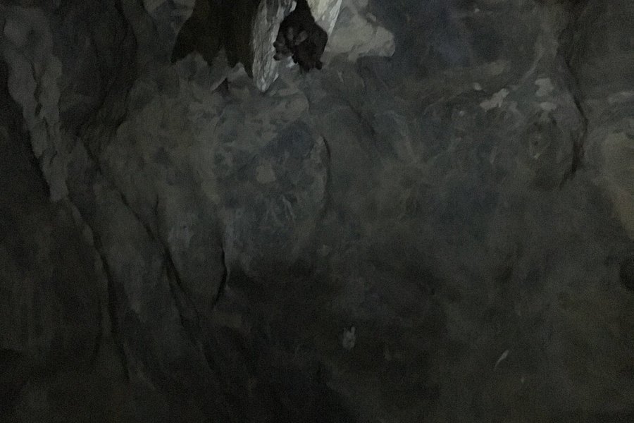 Caverna do Cafezal image