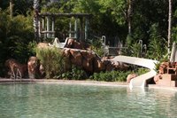 Hotel photo 10 of Disney's Animal Kingdom Villas - Jambo House.