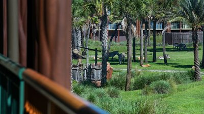Hotel photo 17 of Disney's Animal Kingdom Villas - Kidani Village.