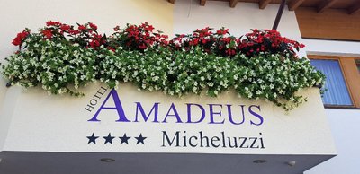 Hotel photo 4 of Amadeus-Micheluzzi.