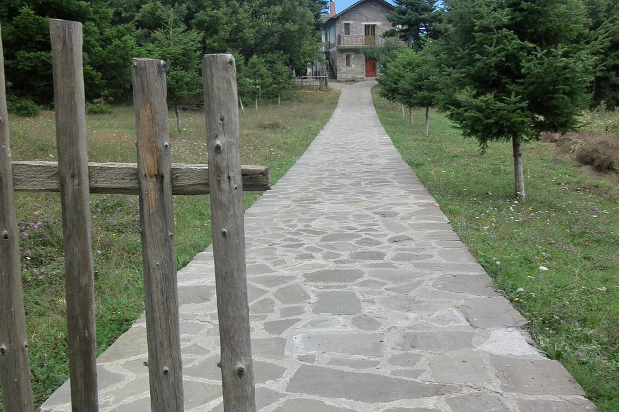 Fir of Hotova National Park image