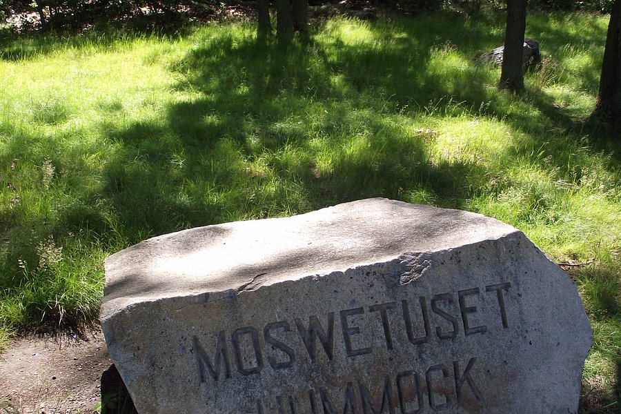The Moswetuset Hummock image