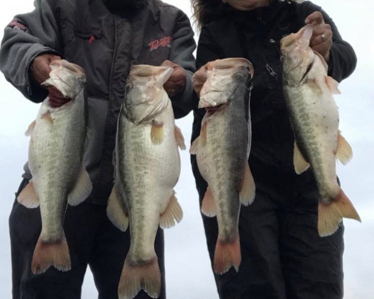 Corky & Tangie's Guided Bass Fishing Tours image