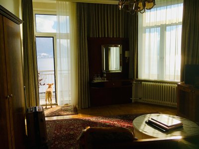 Hotel photo 3 of Seehotel Schwan.