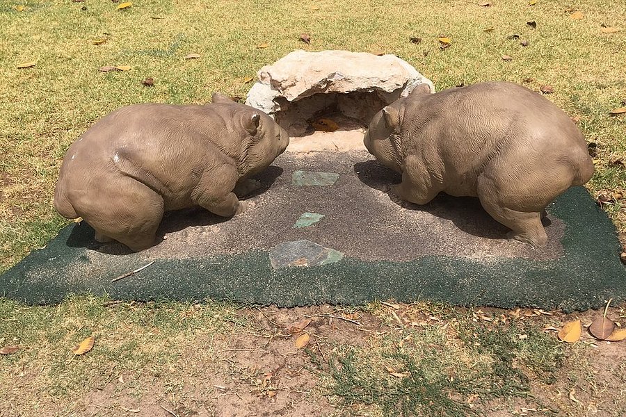 Wombat Statues - Moonta image