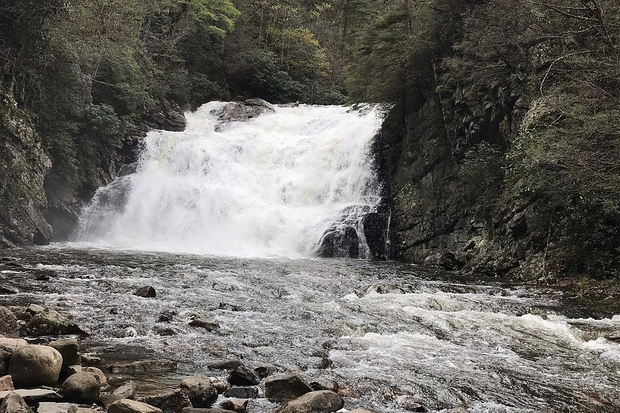 Laurel Fork Falls image