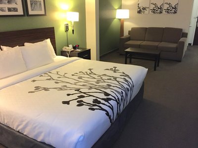 Hotel photo 21 of Sleep Inn & Suites Danville Hwy 58.