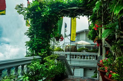 Hotel photo 19 of Udaan Dekeling Resort, Darjeeling.