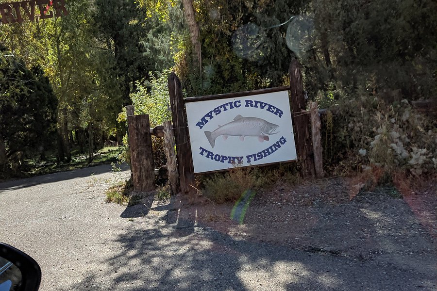 Mystic River Outdoor Adventures Zip Line image