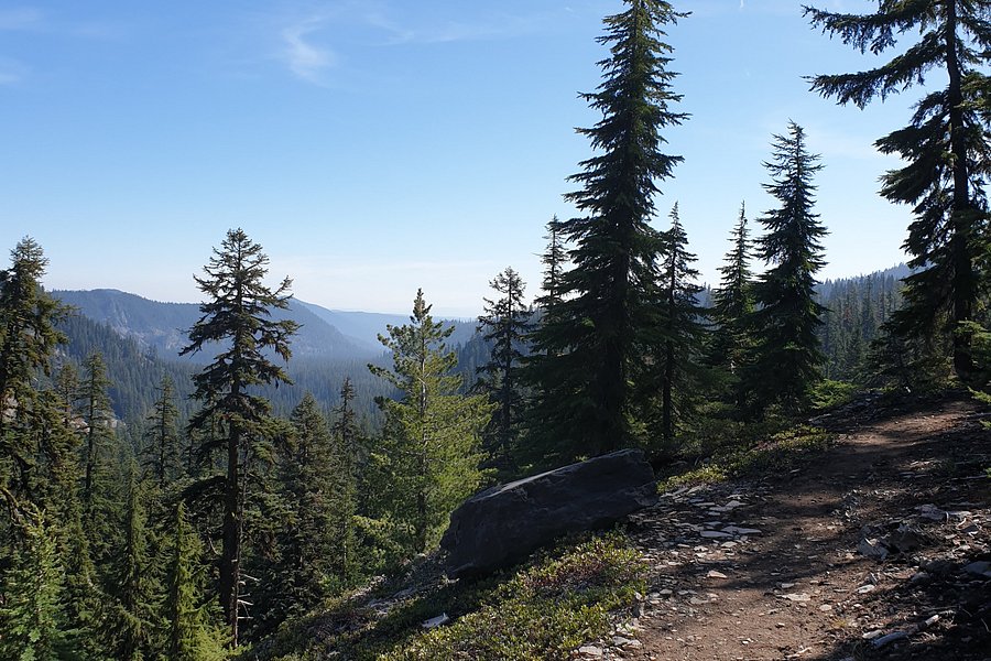 Crater Peak Trail image