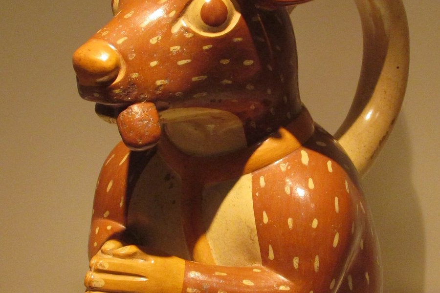 Museo de Arte Precolombino image