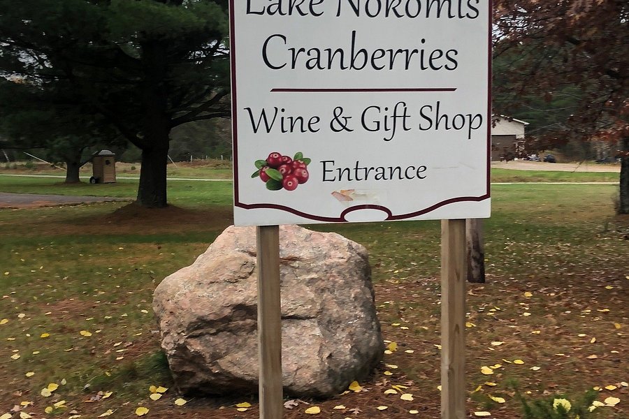 Lake Nokomis Cranberries image