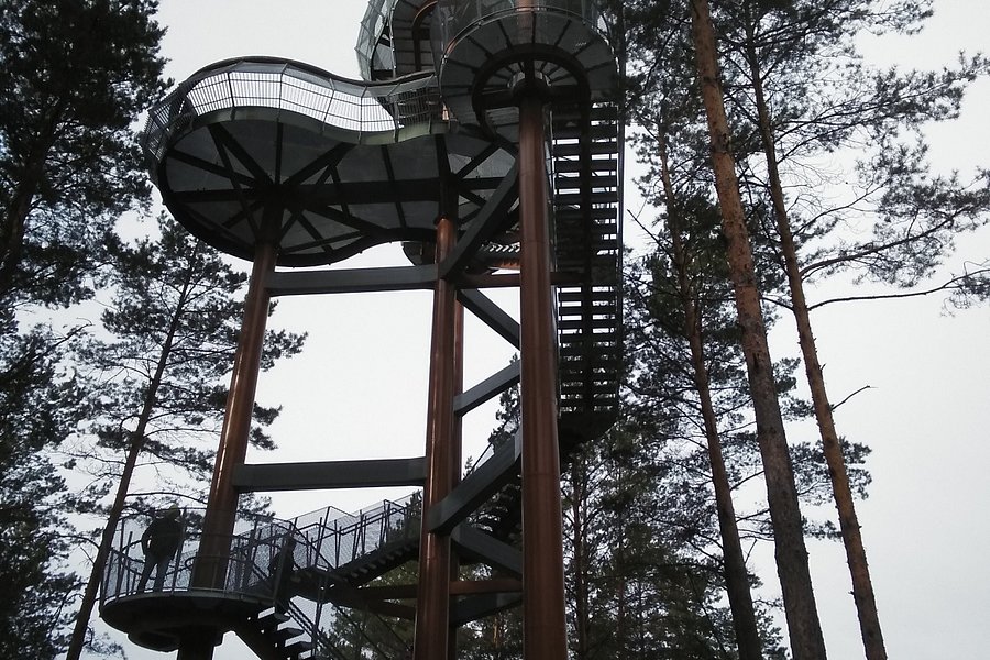 Merkine Observation tower image
