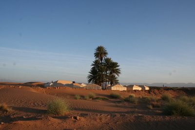 Hotel photo 15 of Zagora Desert Camp.