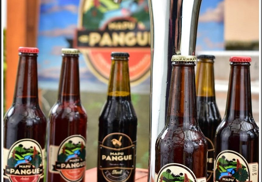 Cervezas Mapu Pangue image