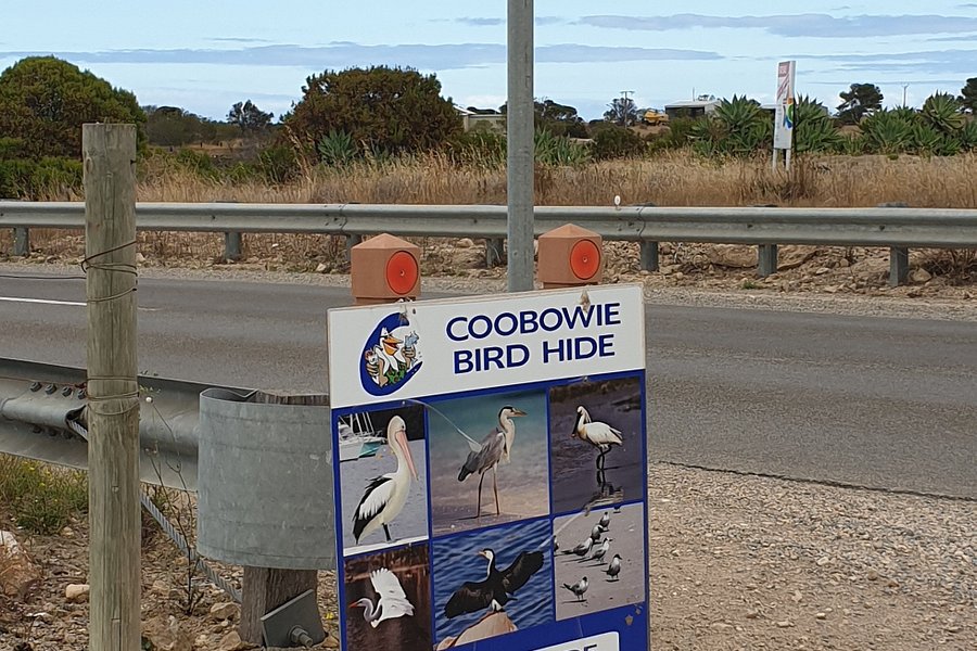 Coobowie Estuary and Bird Hide image