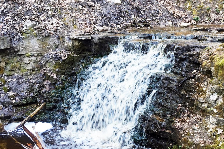 Virsaiši Waterfall image