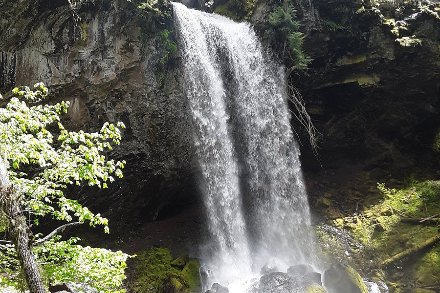 Grotto Falls image