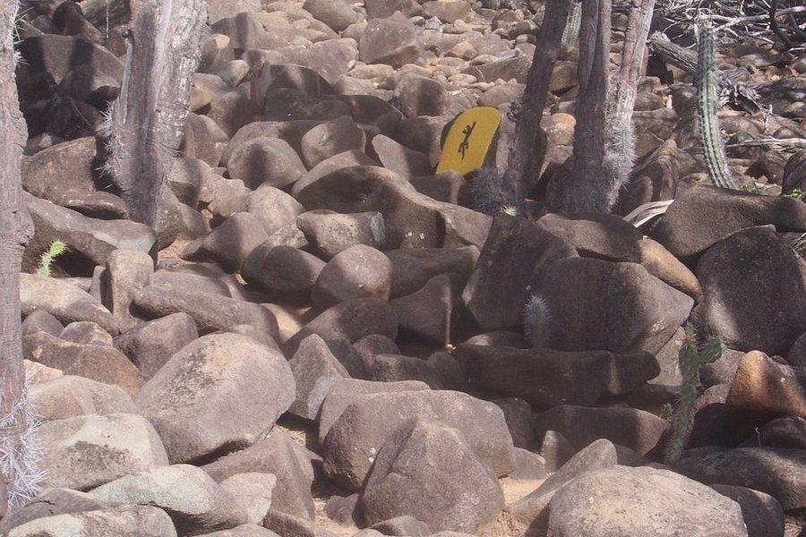 Kasikunda Climbing Trail image