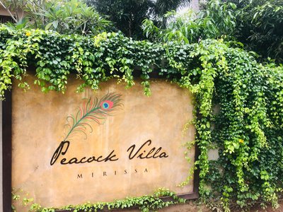 Hotel photo 9 of Peacock Villa.