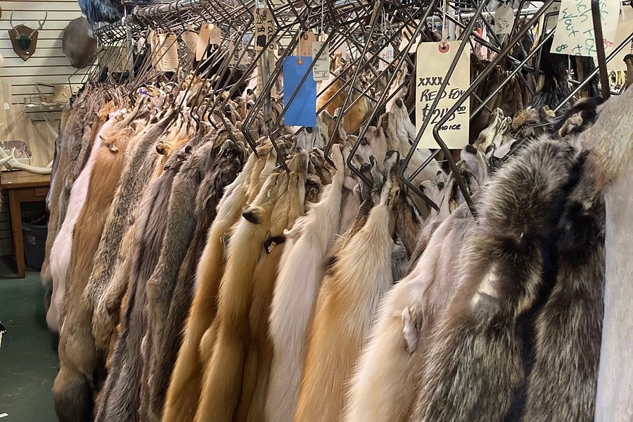 Western Montana Fur Center image