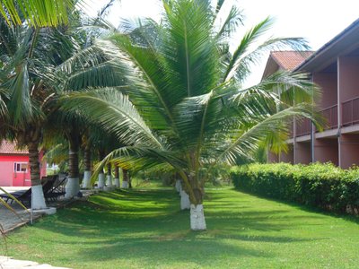 Hotel photo 5 of Bojo Beach Resort.