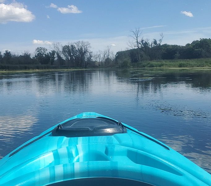 Fox River Canoe Adventures image
