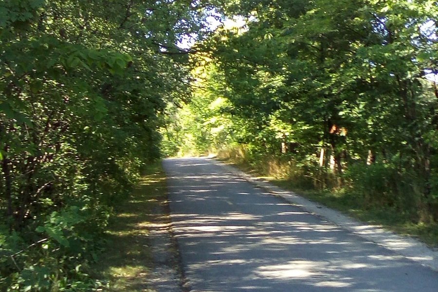 North Branch Bike Trail image