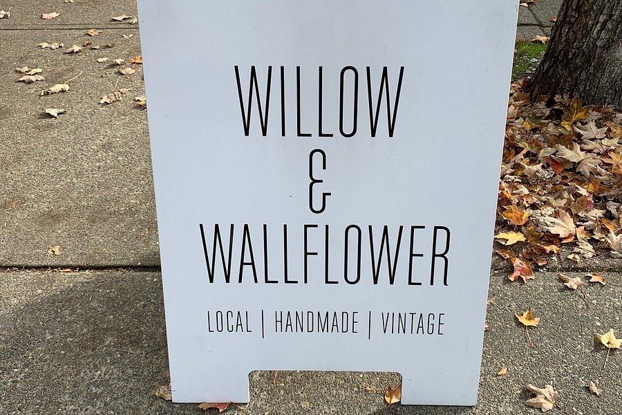 Willow And Wallflower image