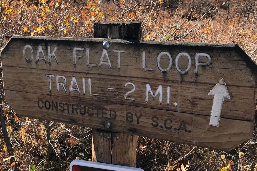 Oak Flat Trail image